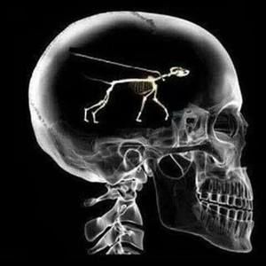 Meet your Posher, George